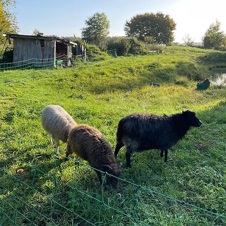 Ferienhaus Raabe Splietsdorf Εξωτερικό φωτογραφία