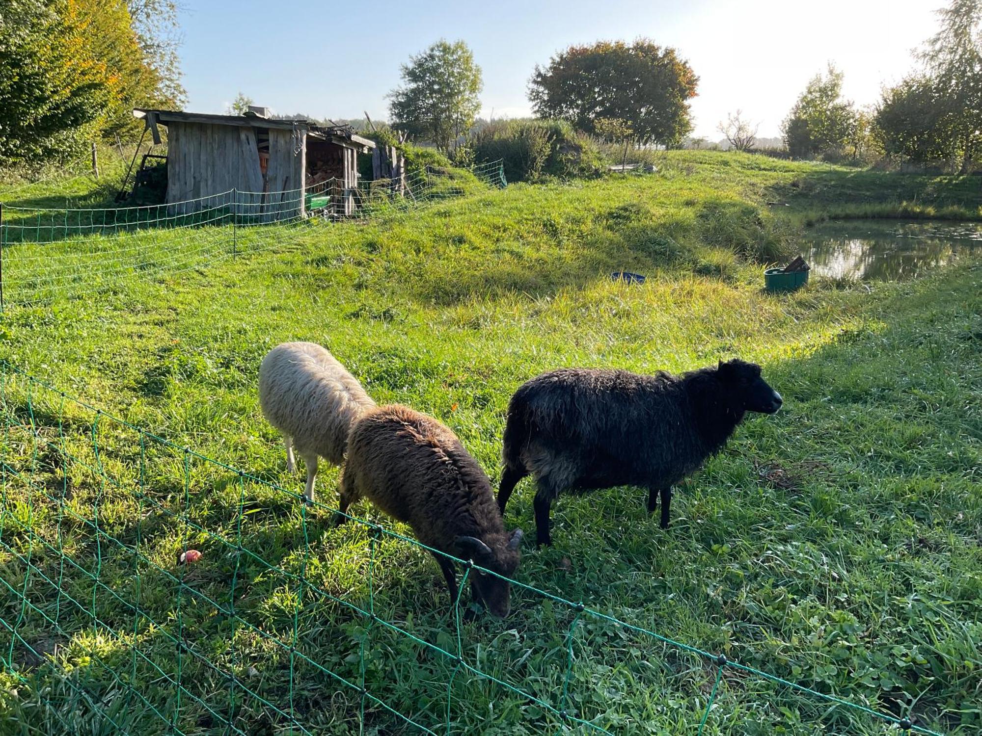 Ferienhaus Raabe Splietsdorf Εξωτερικό φωτογραφία